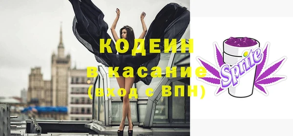 ECSTASY Бородино