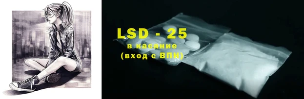 ECSTASY Бородино