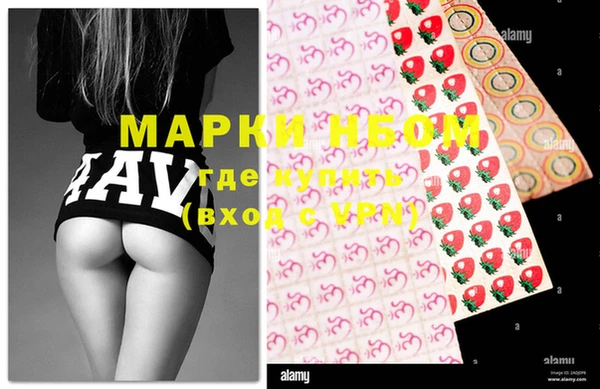 ECSTASY Бородино