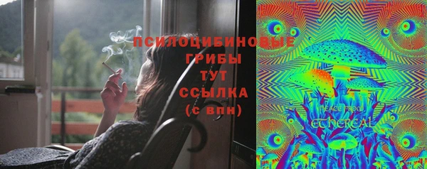 МДМА Верхний Тагил