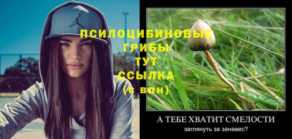 прущие грибы Бугульма