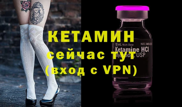 ECSTASY Бородино