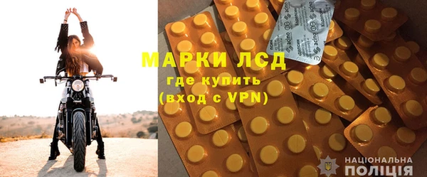 ECSTASY Бородино
